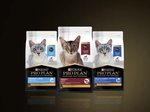 PURINA PROPLAN 2kg✖️2 PRO PLAN Adult Chicken – Dry Cat Food | Purina Singapore
